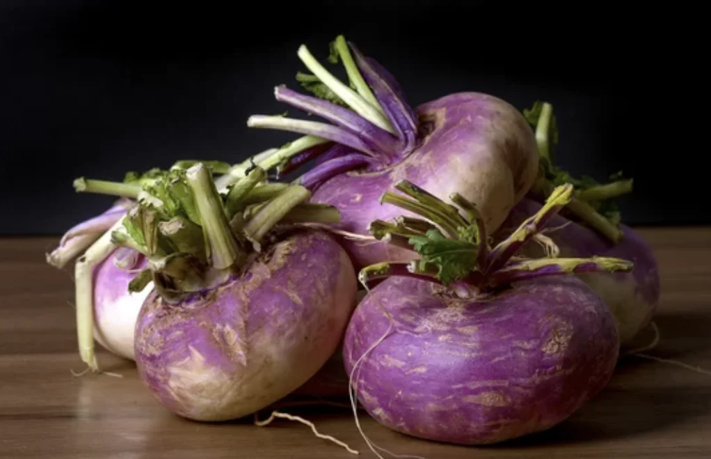 Purple Top Rutabaga